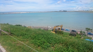 DSC_0574 (2500x1406) (2000x1125).jpg